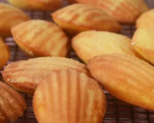 Homemade Madeleines