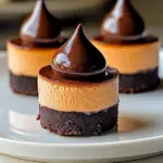 Mini Chocolate Cheesecake Bites